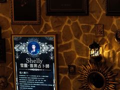 -雪灵魔法世界SHELLY’S TAROT(大良桂畔里店)