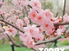 -静安雕塑公园