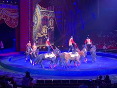 -珠海横琴长隆《卡卡虎奇遇记》