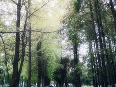 -四川大学(望江校区)