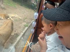 -大连森林动物园