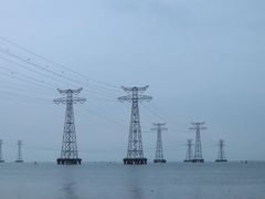 -宝安西湾红树林湿地公园