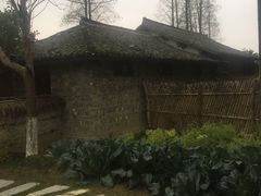 -乌村