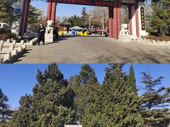 -百脉泉景区