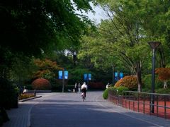 -杭州城北体育公园