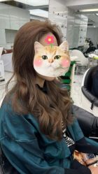 -潘多拉Hairsalon
