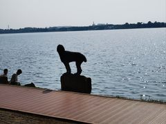 -丁香湖公园