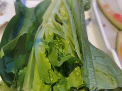 油麦菜-麻麻鱼府主题涮锅(明珠家园店)