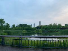 景点-院士公园