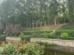 -元大都城垣遗址公园