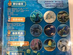 -华夏文旅海洋公园