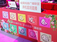 -安徽广播电视台