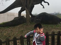 -自贡恐龙博物馆