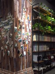 -美格丝M.G.S Hair Salon