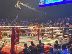 -芭提雅MAX泰拳馆