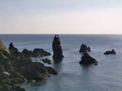 -涉地可支