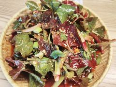 -阆辣荟餐饮(老味道8年·古城店)