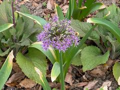 -上海植物园·停车场