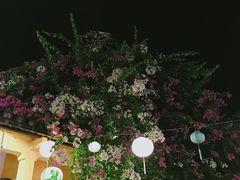 -会安古镇
