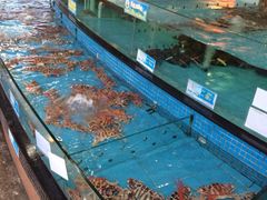 iphone_upload_pic-新河畔海鲜酒楼(虎门店)