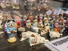 -猫咪博物馆(顶澳仔猫街店)