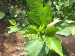 -弄堂里(雨花客厅店)