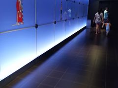 -上海环球金融中心云端足球盛典
