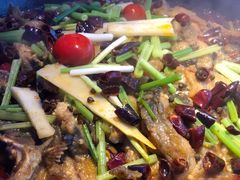 -老板恋上鱼(恒隆广场店)