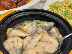 豆酱焗马友鱼煲-潮江春(阳光店)