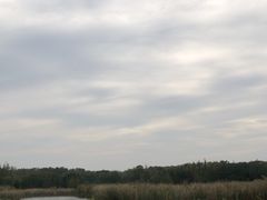 -同里国家湿地公园