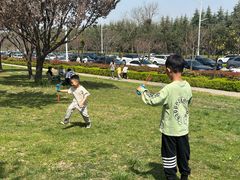 -洨河生态公园