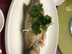-吴祥记潮州菜·百年老字号·砂锅粥
