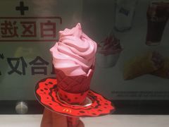 -麦当劳(塔园路店)