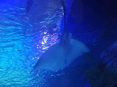 -沈阳海洋探索中心