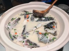 -老傅家湘潭水煮活鱼店(众一国际店)