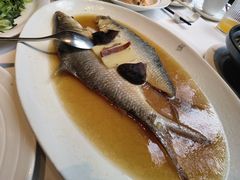 -苏浙汇(肇嘉浜路总店)