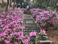 -海珠湖公园