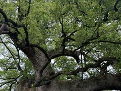 -新安江山水画廊风景区