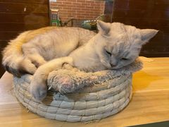 -西村居酒屋