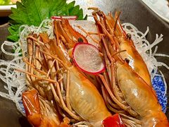 -人间酒暖·Go blanc·烧鸟·深夜食堂(陆家嘴店)