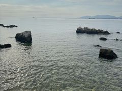 -养马岛旅游度假区