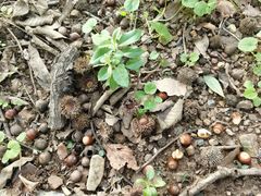 -上海市保健医疗中心