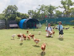 -上海长兴岛郊野公园