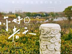 -上海海湾国家森林公园