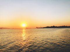 -演武大桥观景平台