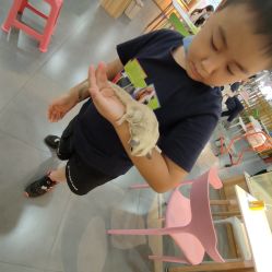 -Moni星球萌宠·小马宝莉·灵蛇·高端高阶全萌宠互动体验俱乐部(红豆国际广场店)