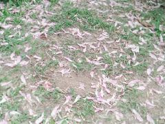 -人民公园(罗湖区)