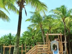 -宝安西湾红树林湿地公园