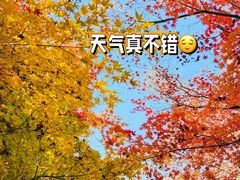 -上海滨江森林公园