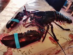 -花乐餐厅(涠洲岛店)